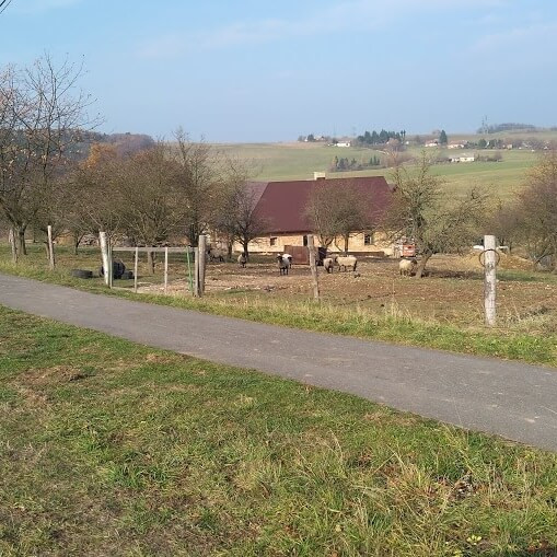 Namontování plastových oken v dekoru mahagon - Dlouhá Ves