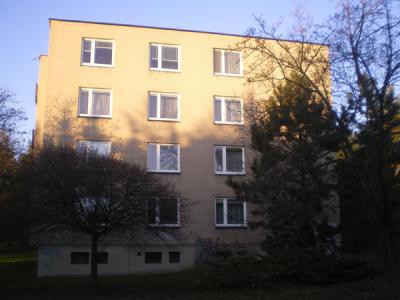Bytový dům v Brně: výměna plastových oken v bílém dekoru