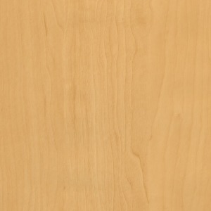 Birke rose