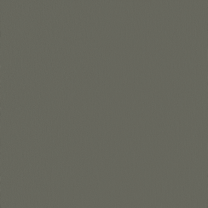 Sivý gris