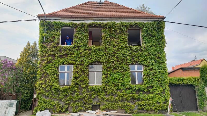 Nová dvoukřídlá okna mají meziskelní mřížky