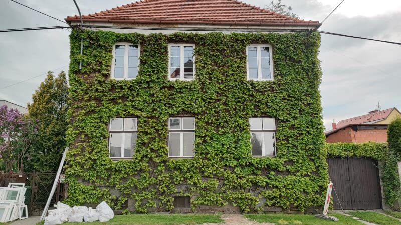 Bílá plastová okna mají trojsklo a trojité těsnění